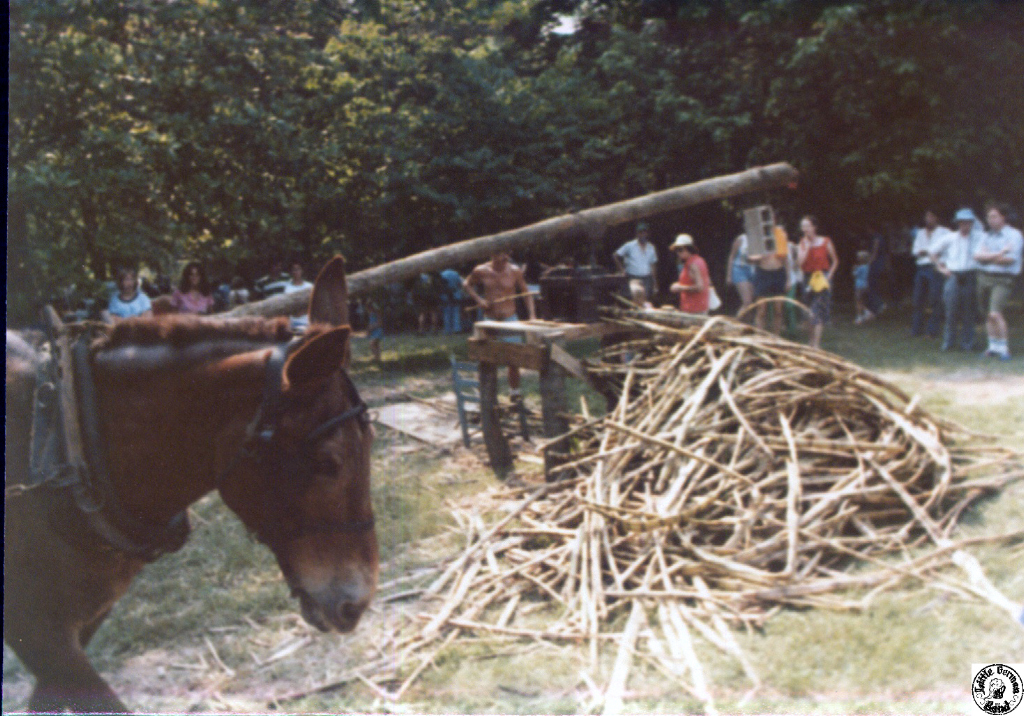 1978 07 01 13 Eno Park Folk Festival.jpg